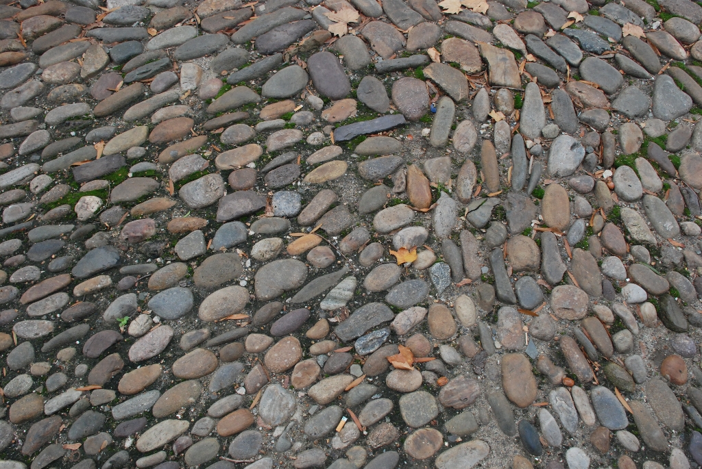 DSC_0405.JPG